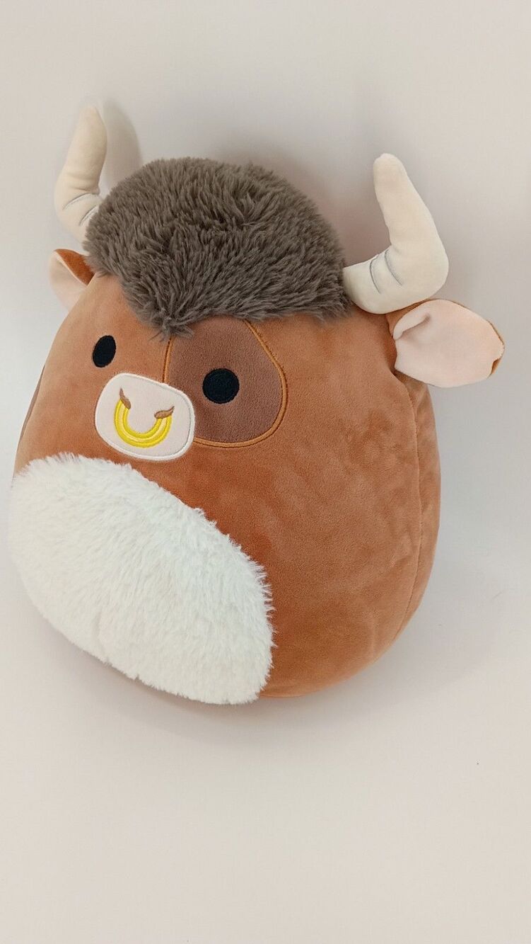 Squishmallows Shep Highland Cow 11" Plush S11 #1672 Kellytoy 2023 w/ Hang Tag - Picture 3 of 14